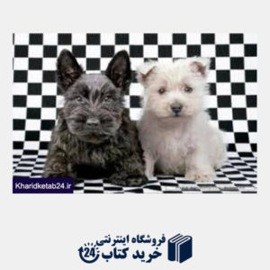 کتاب Checked Terriers 15508