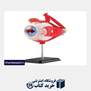 کتاب Eyeball Anatomy Model SK007
