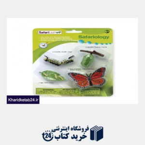 کتاب Life Cycle of a Monarch Butterfly - Blister 622616