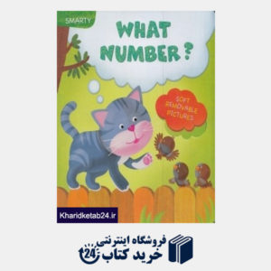 کتاب What Number