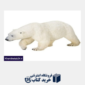 کتاب خرس قطبی SafariLtd 111689
